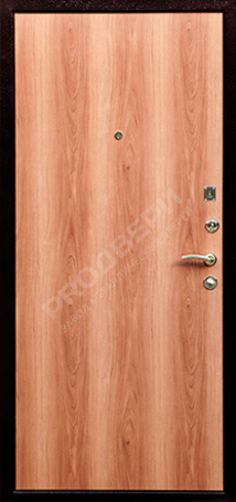 Фотография «Дверь Ламинат №2»