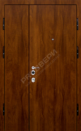 Фотография «Тамбурная дверь №3»